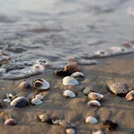 Seaside Comfort Flat With Modern Amenities דירה *